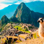 Machu Picchu Todo el Día