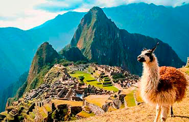 Machu Picchu Todo el Día